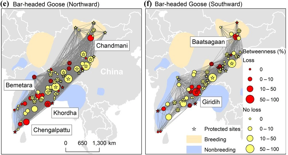 Research figures illustrating ecological connectivity and spatial conservation priorities.