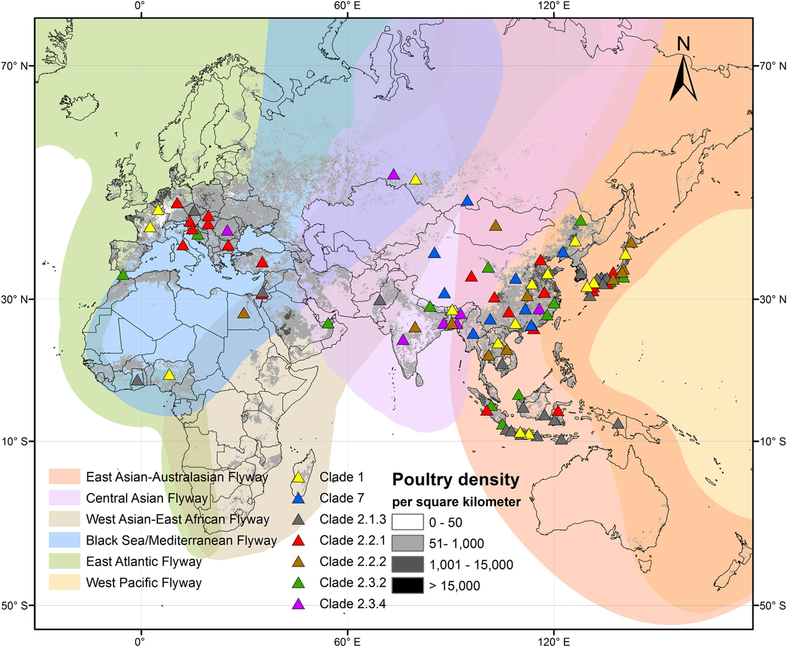 Map showing major waterfowl flyways across Europe, Africa, Asia and Australasia, with H5N1 genetic clade locations and poultry density.